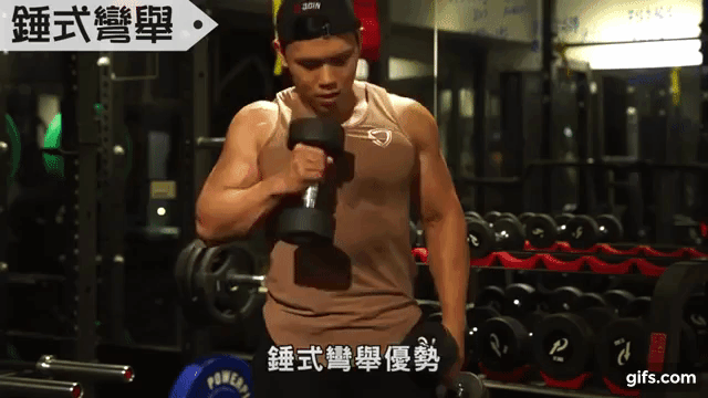 錘式彎舉animated gif